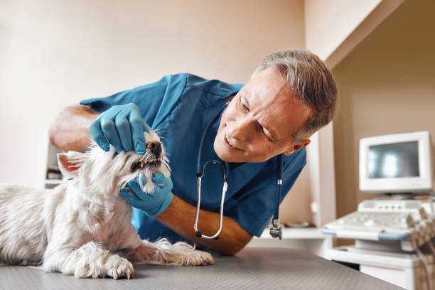 Best Emergency Root Canal Treatment in Easton, CA